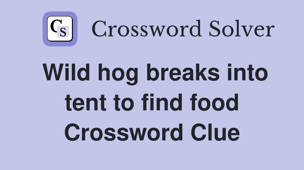 Wild hog breaks into tent to find food Crossword Clue