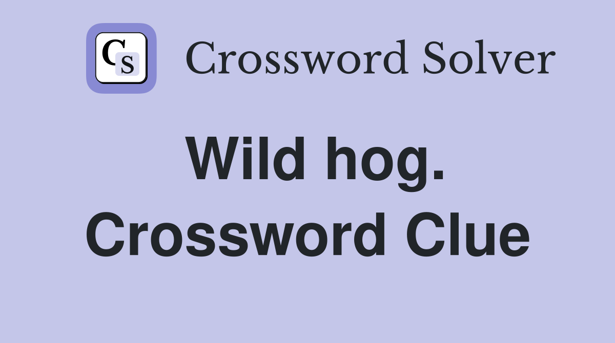 Wild hog. Crossword Clue