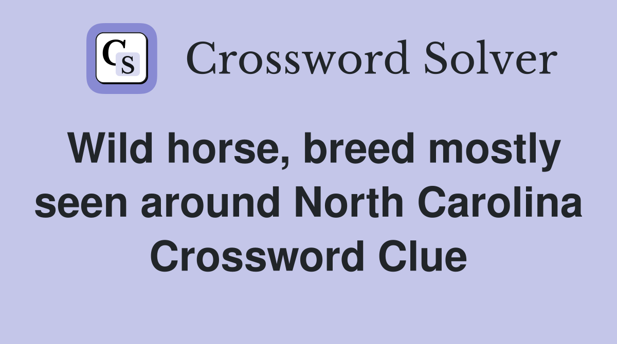 Wild horse, breed mostly seen around North Carolina Crossword Clue