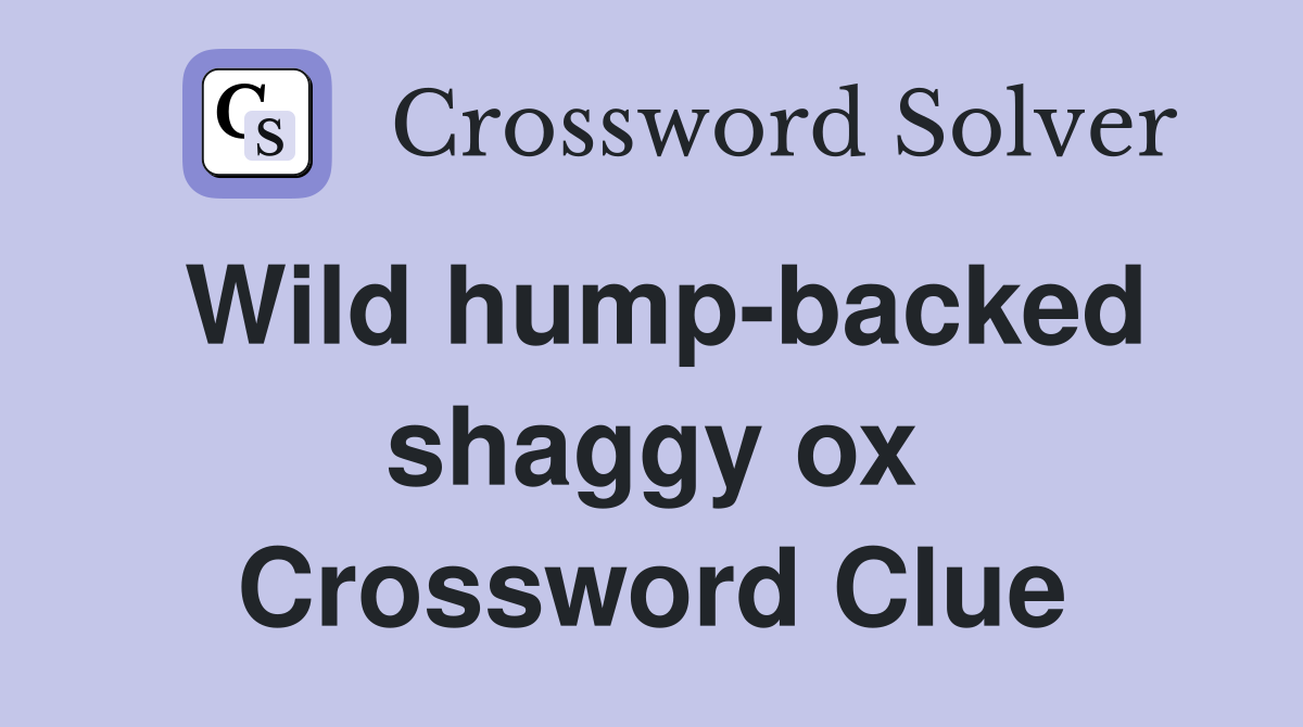 Wild hump-backed shaggy ox Crossword Clue