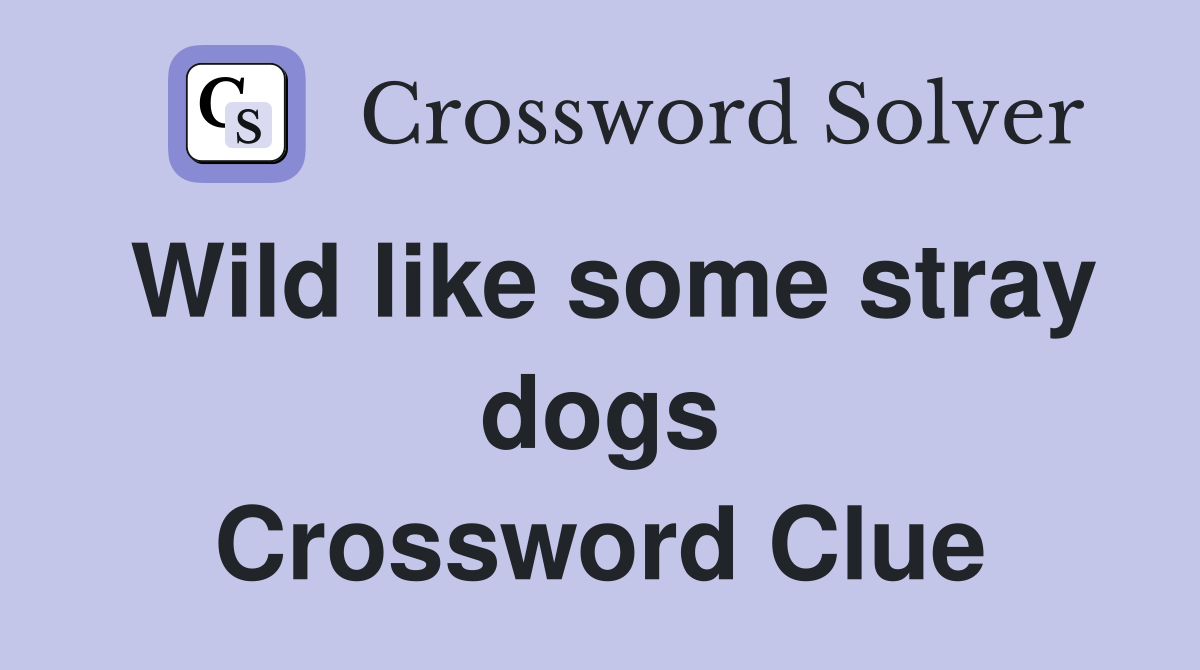 Wild like some stray dogs Crossword Clue