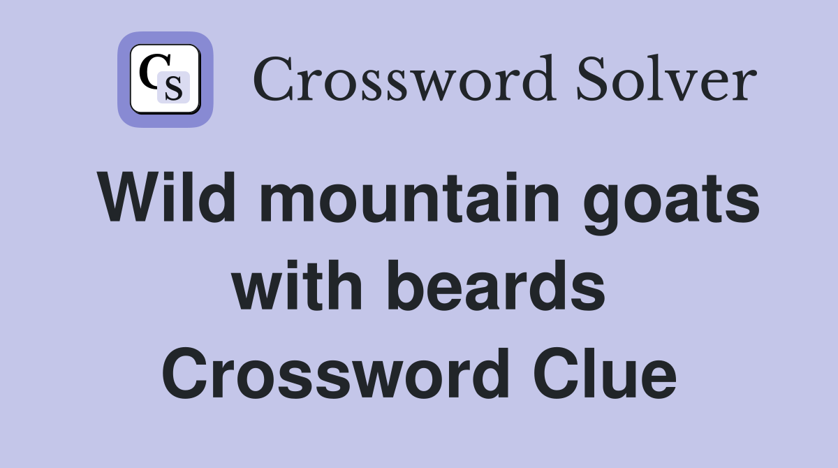 Wild mountain goats with beards Crossword Clue