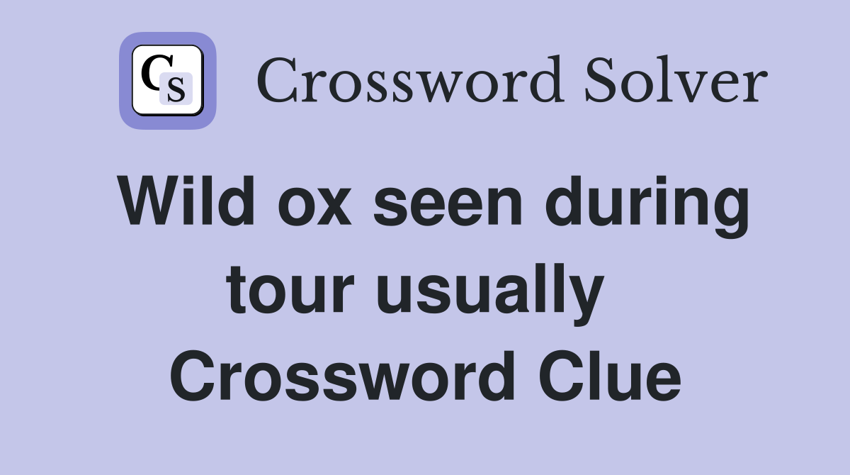Wild ox seen during tour usually  Crossword Clue