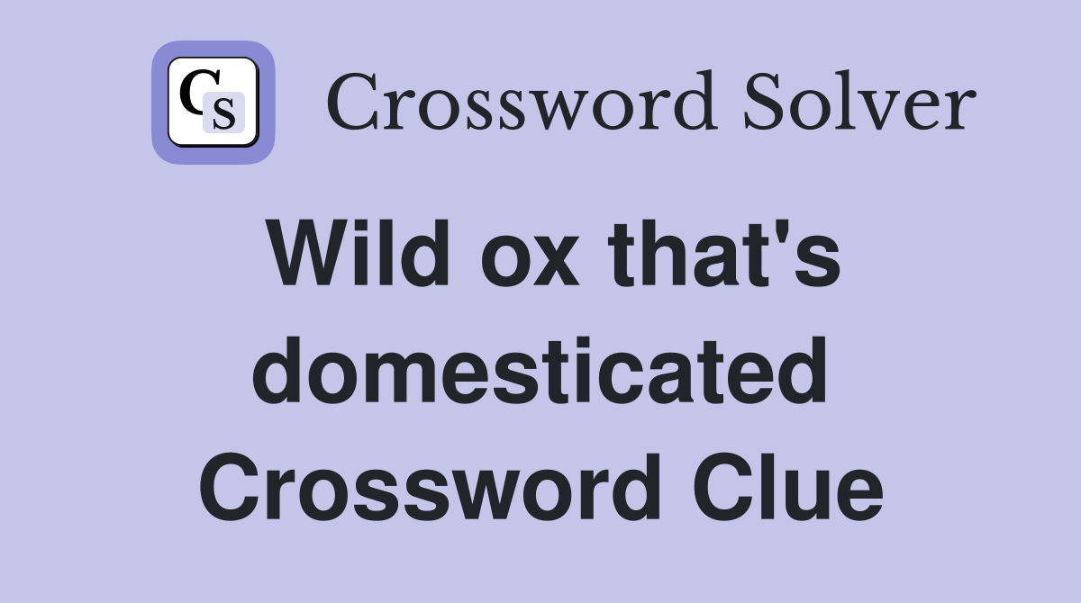 Wild ox that's domesticated Crossword Clue