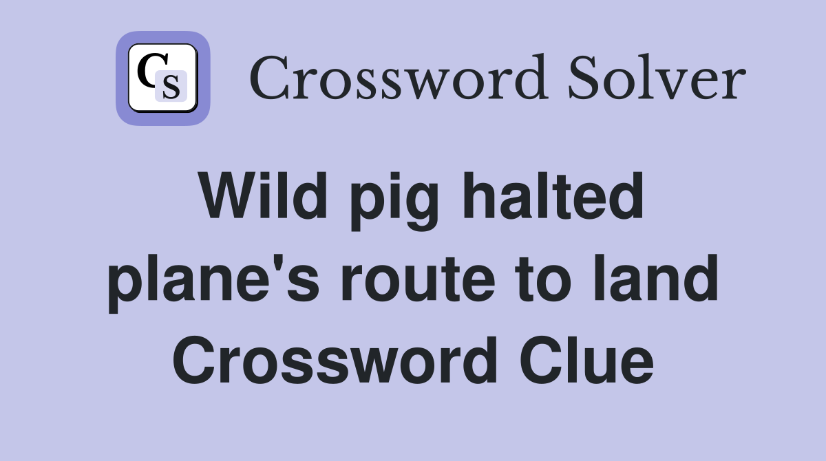 Wild pig halted plane's route to land Crossword Clue