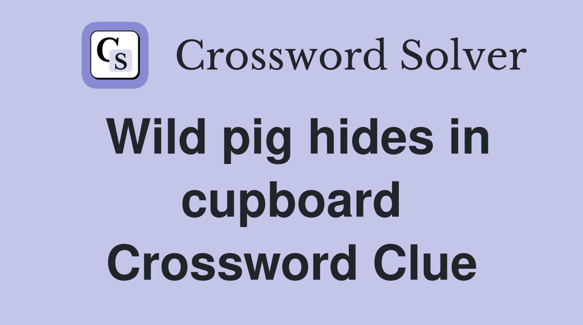 Wild pig hides in cupboard Crossword Clue