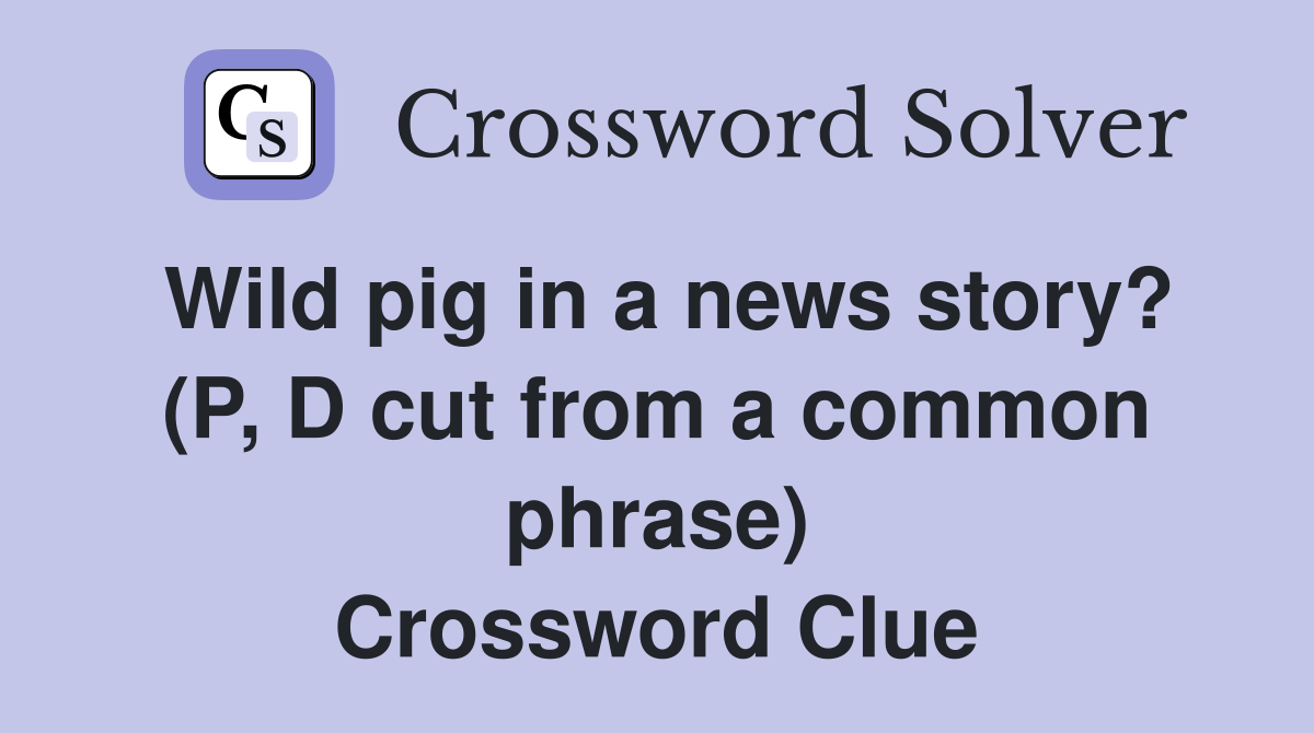 Wild pig in a news story? (P, D cut from a common phrase) Crossword Clue