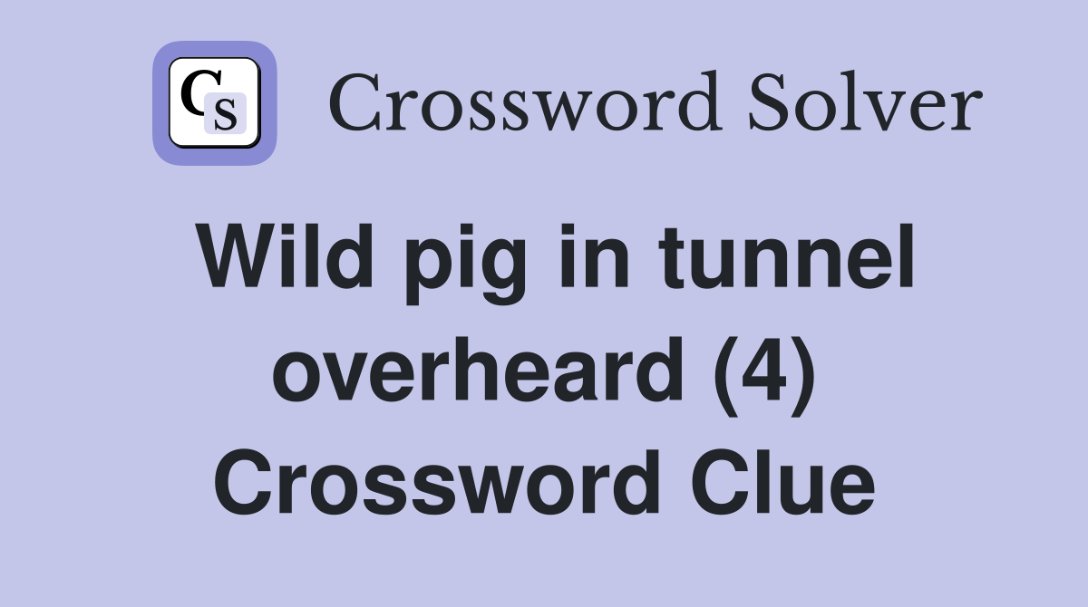 Wild pig in tunnel overheard (4) Crossword Clue