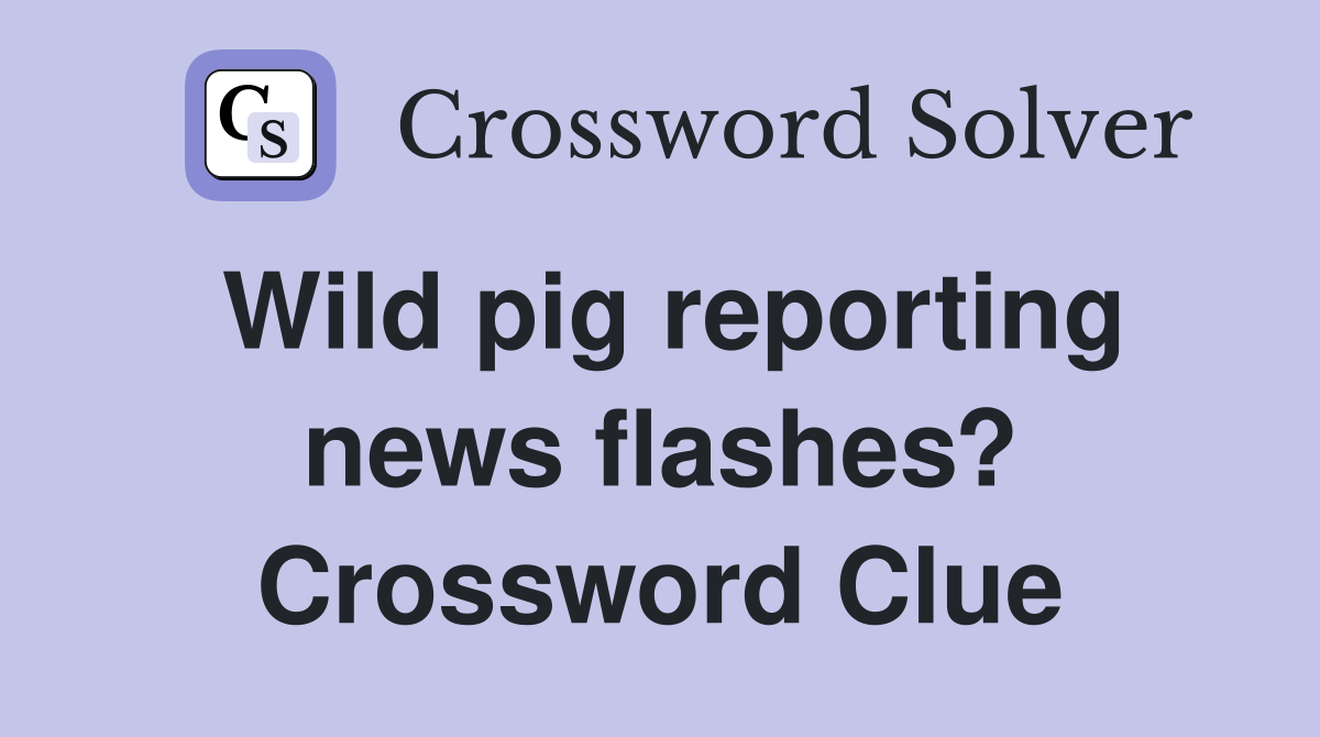 Wild pig reporting news flashes? Crossword Clue