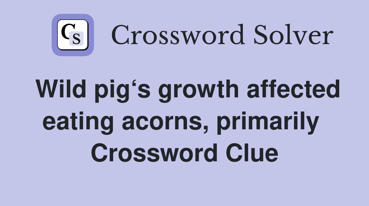 Wild pig‘s growth affected eating acorns, primarily  Crossword Clue
