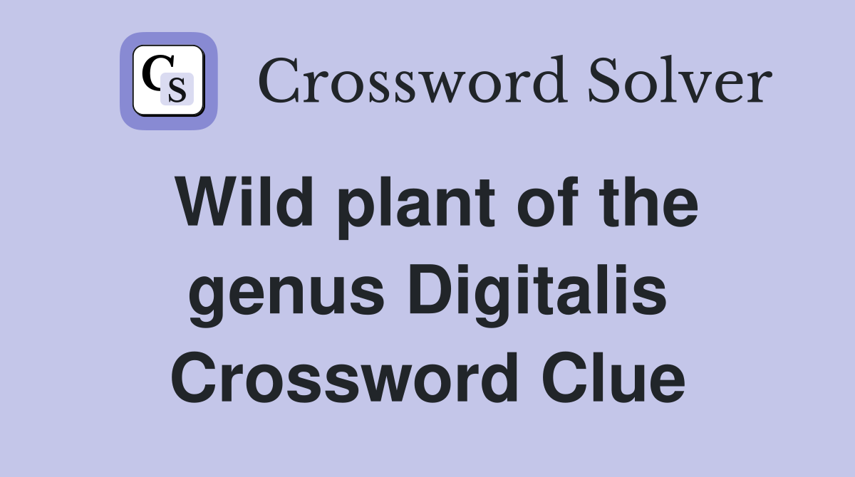 Wild plant of the genus Digitalis Crossword Clue