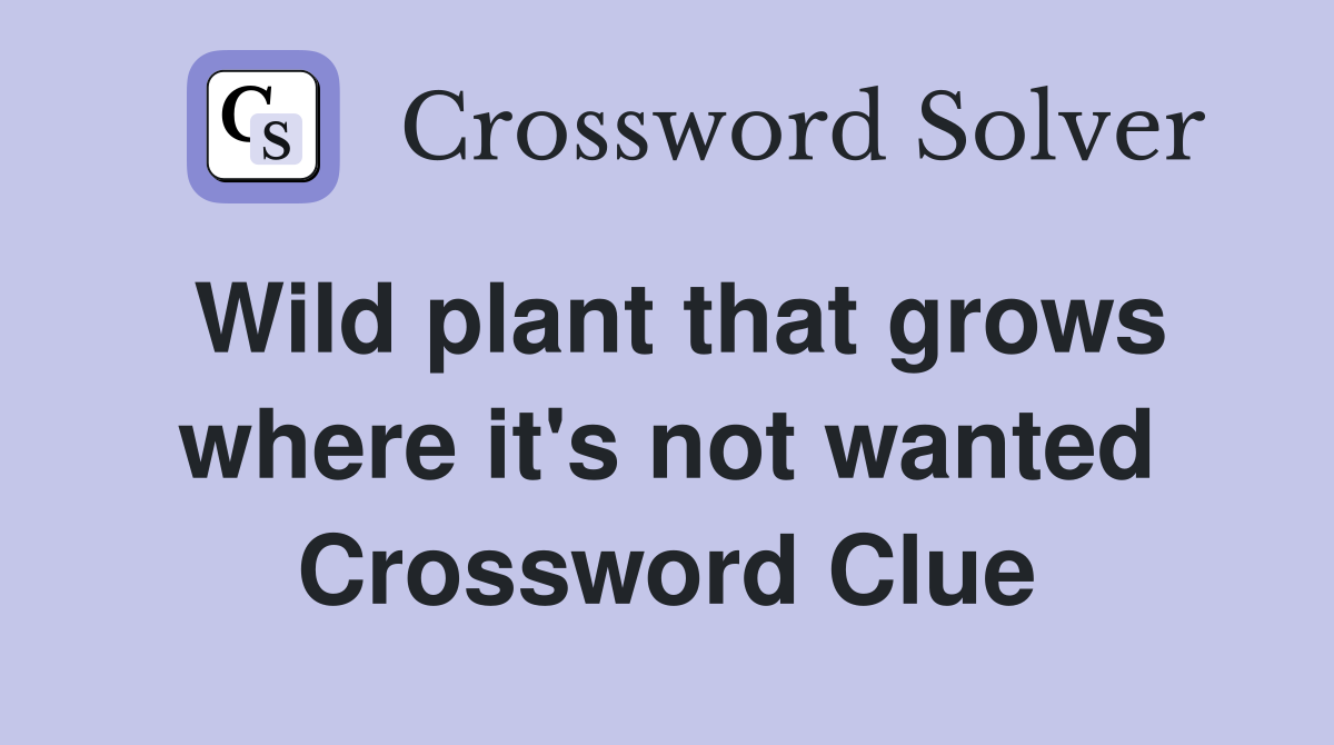 Wild plant that grows where it's not wanted Crossword Clue