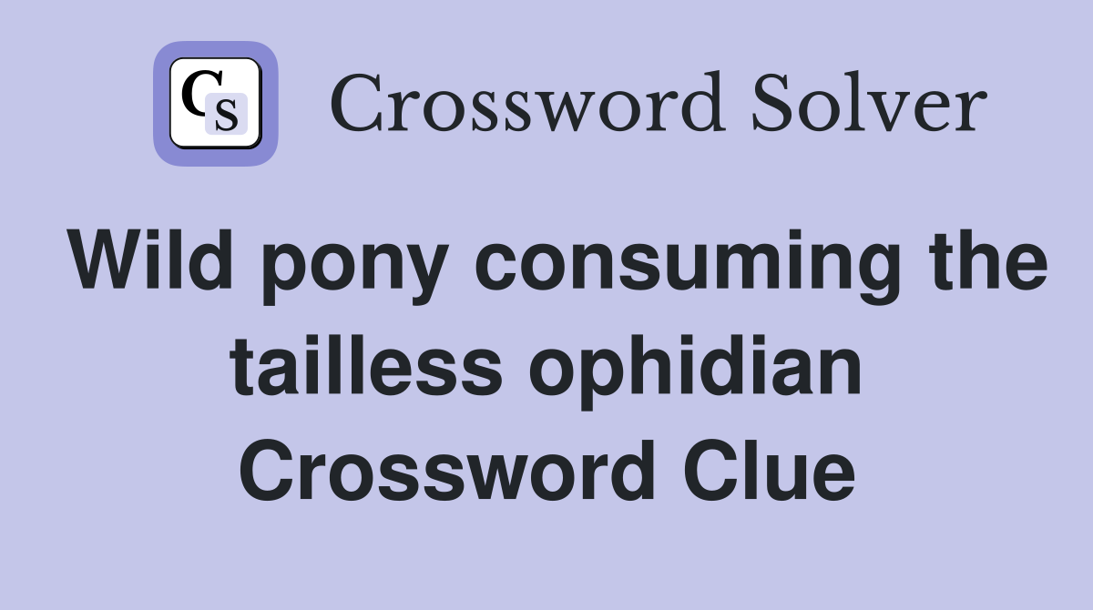 Wild pony consuming the tailless ophidian Crossword Clue
