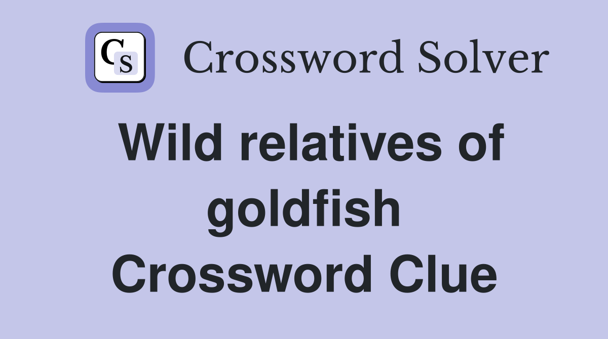 Wild relatives of goldfish Crossword Clue