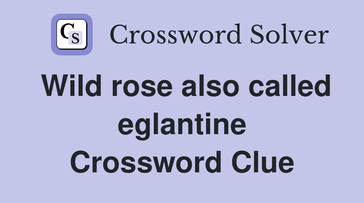 Wild rose also called eglantine Crossword Clue