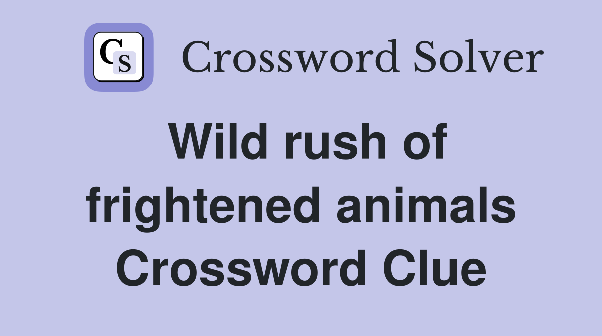 Wild rush of frightened animals Crossword Clue
