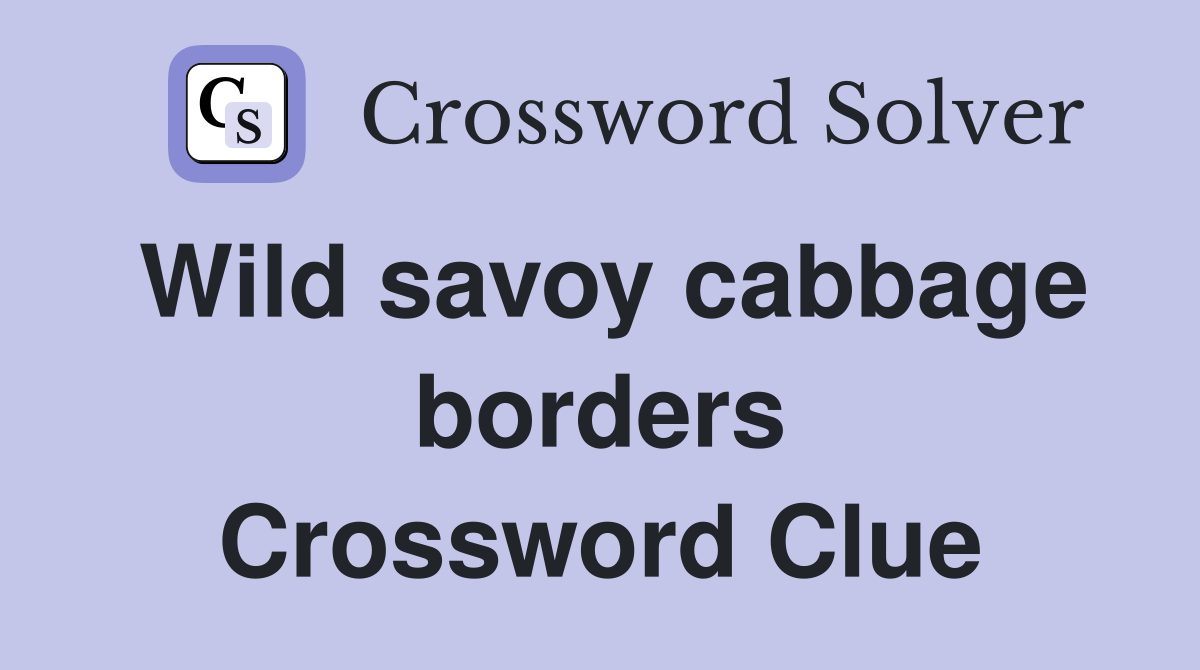 Wild savoy cabbage borders Crossword Clue