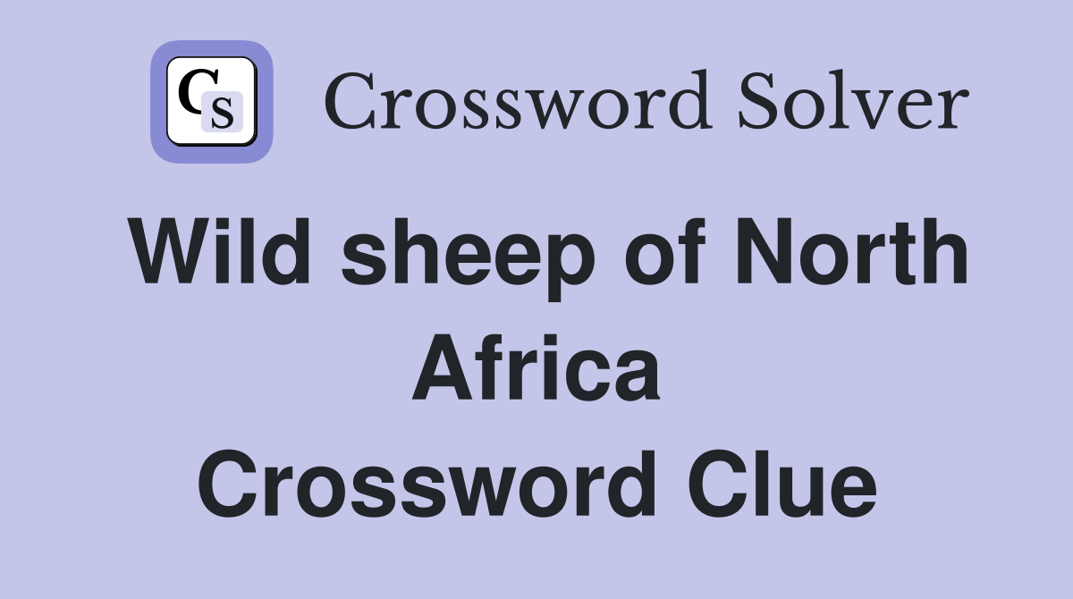 Wild sheep of North Africa Crossword Clue