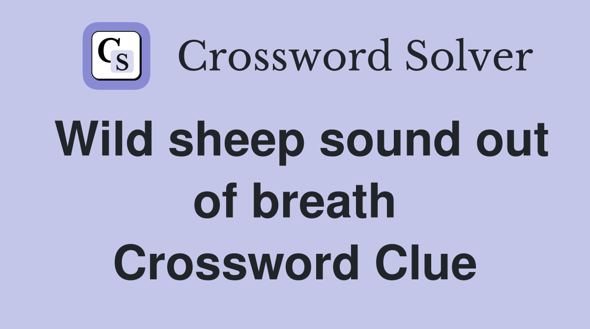 Wild sheep sound out of breath Crossword Clue