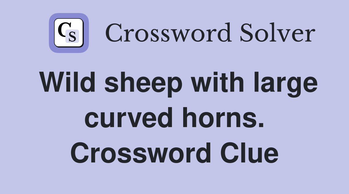 Wild sheep with large curved horns. Crossword Clue