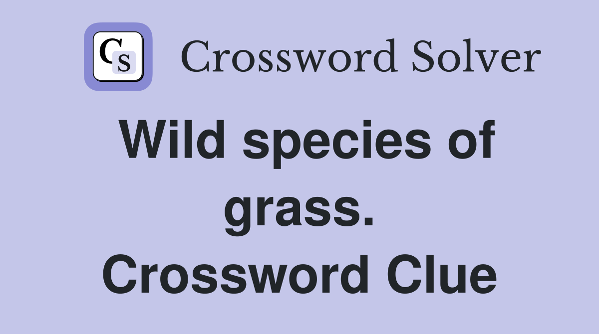Wild species of grass. Crossword Clue