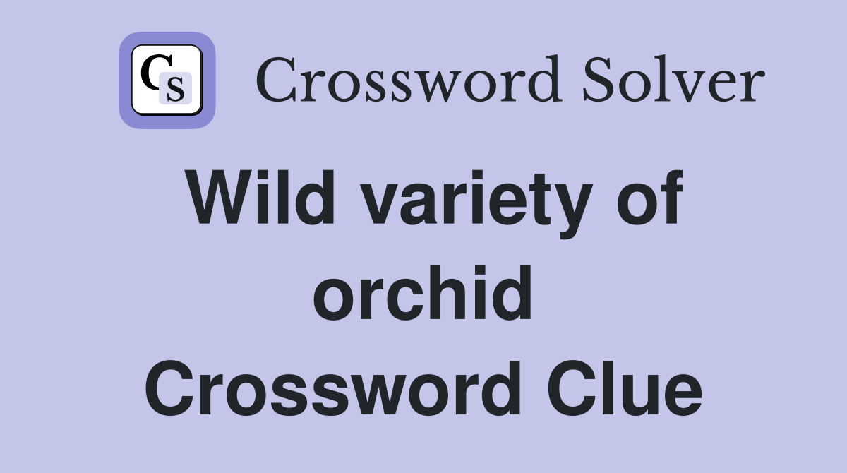 Wild variety of orchid Crossword Clue