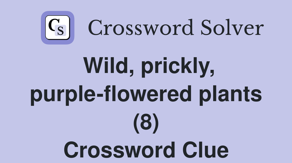 Wild, prickly, purple-flowered plants (8) Crossword Clue