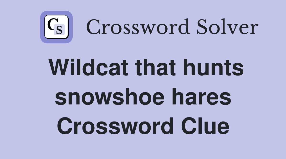 Wildcat that hunts snowshoe hares Crossword Clue
