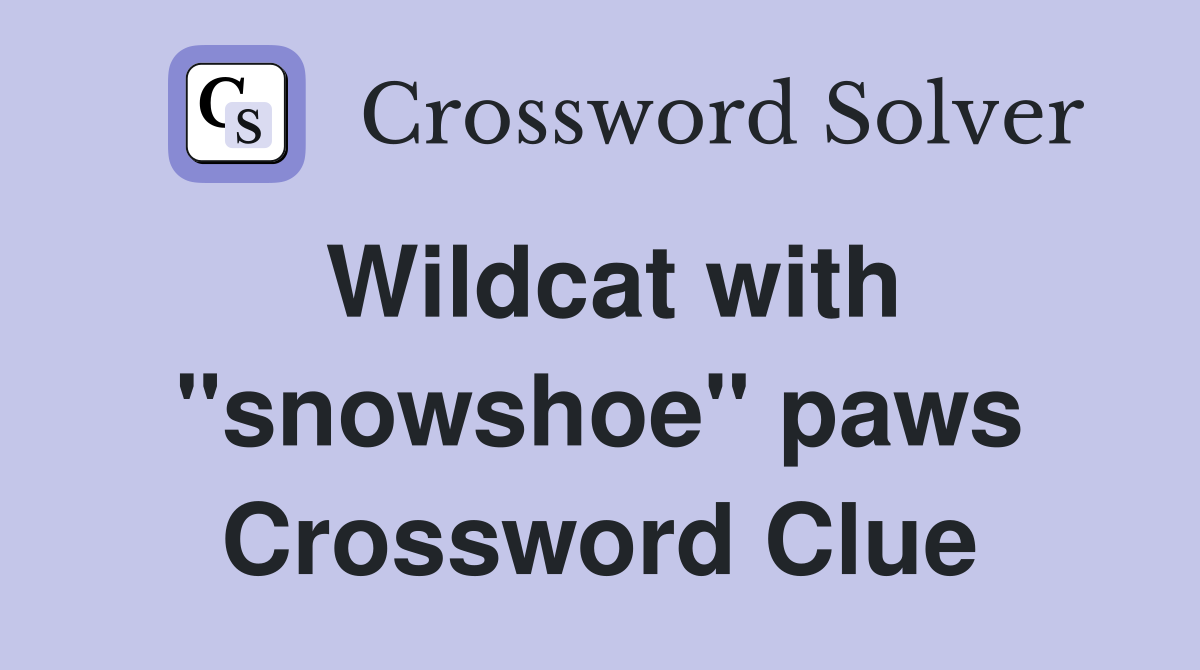 Wildcat with "snowshoe" paws Crossword Clue