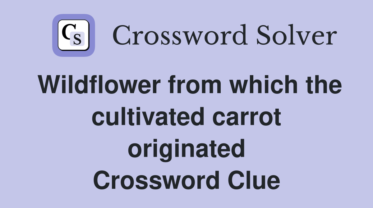 Wildflower from which the cultivated carrot originated Crossword Clue