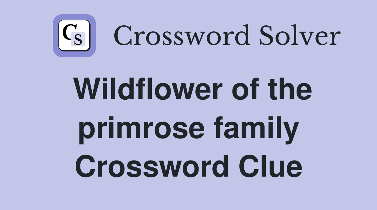 Wildflower of the primrose family Crossword Clue