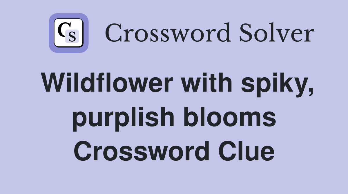 Wildflower with spiky, purplish blooms Crossword Clue