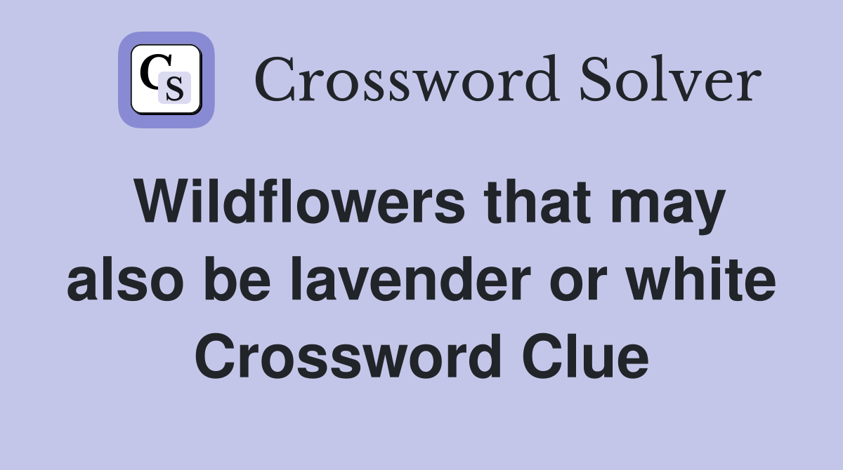 Wildflowers that may also be lavender or white Crossword Clue