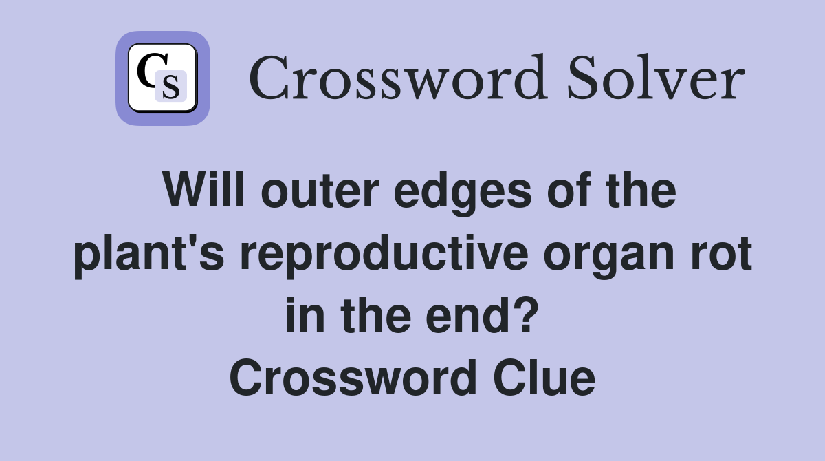 Will outer edges of the plant's reproductive organ rot in the end? Crossword Clue
