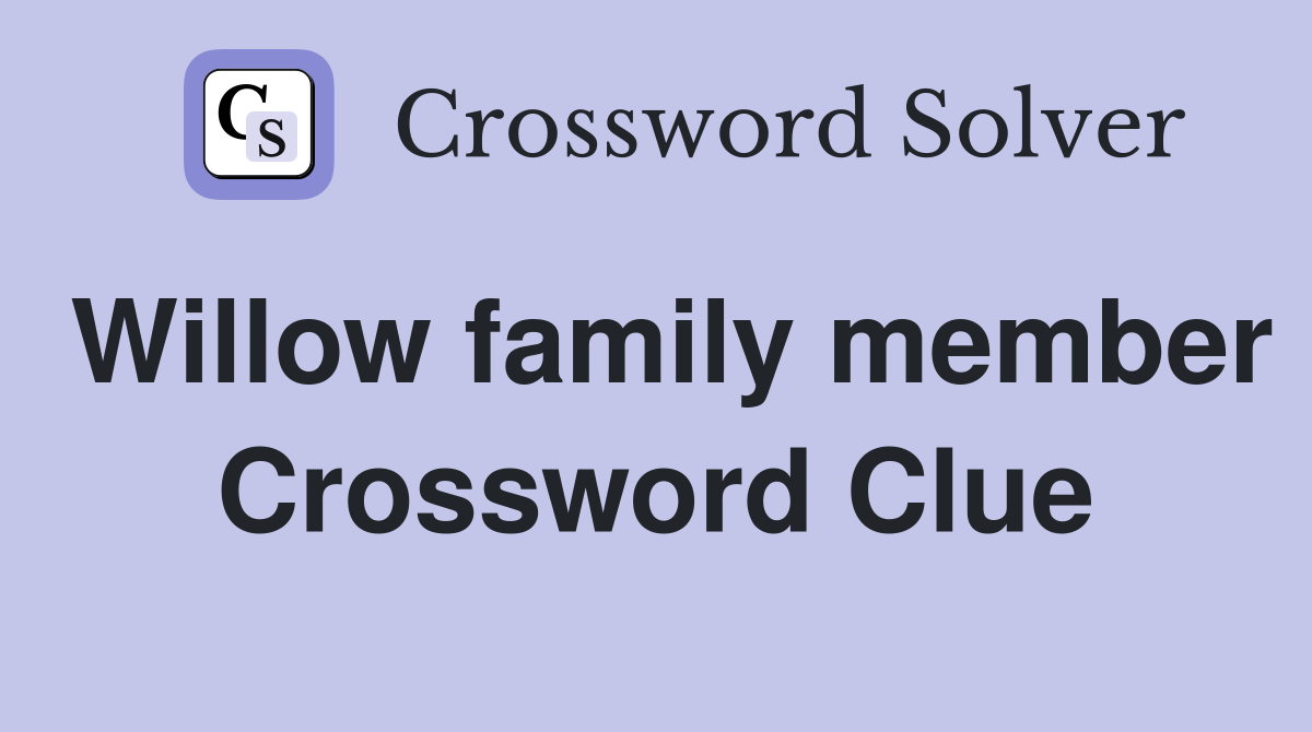 Willow family member Crossword Clue