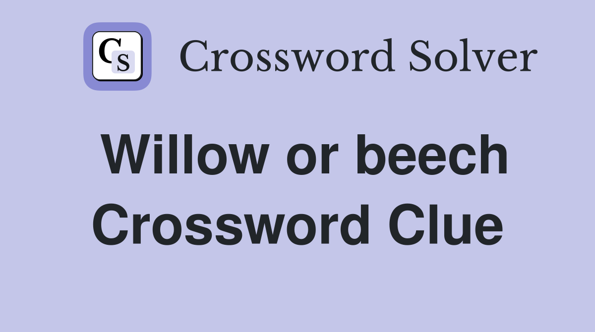 Willow or beech Crossword Clue