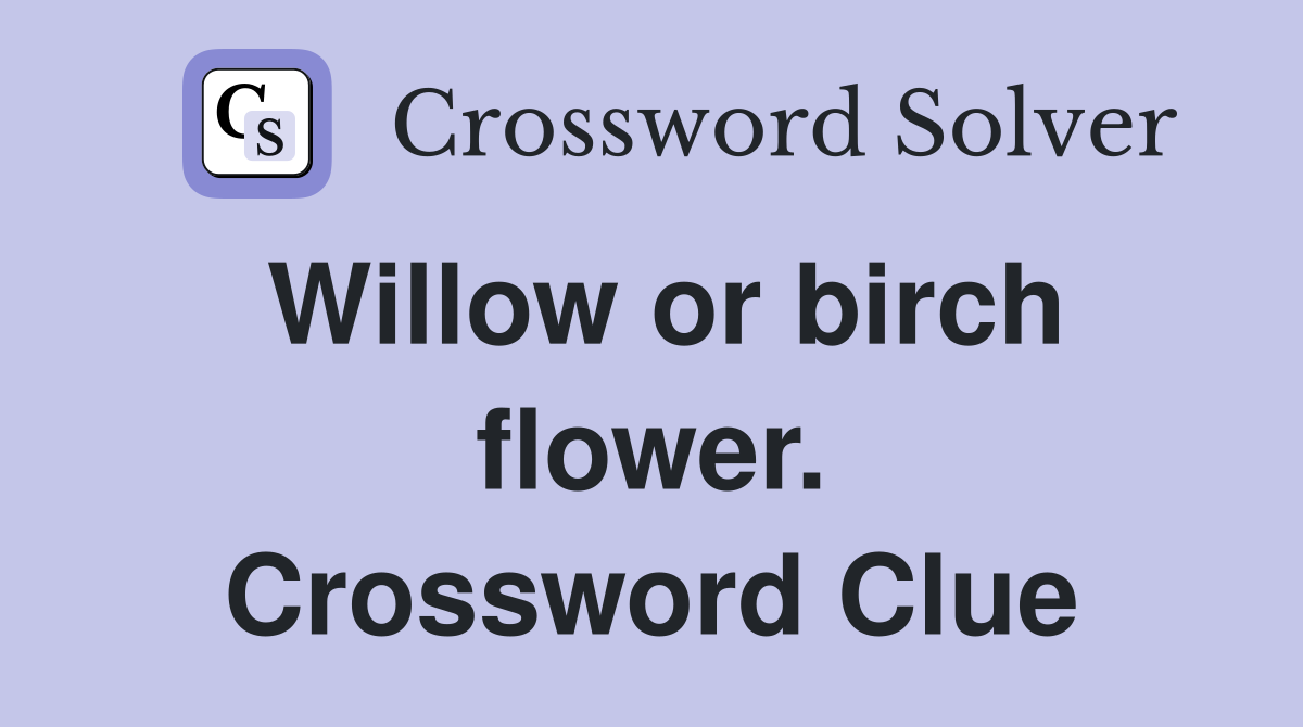 Willow or birch flower. Crossword Clue
