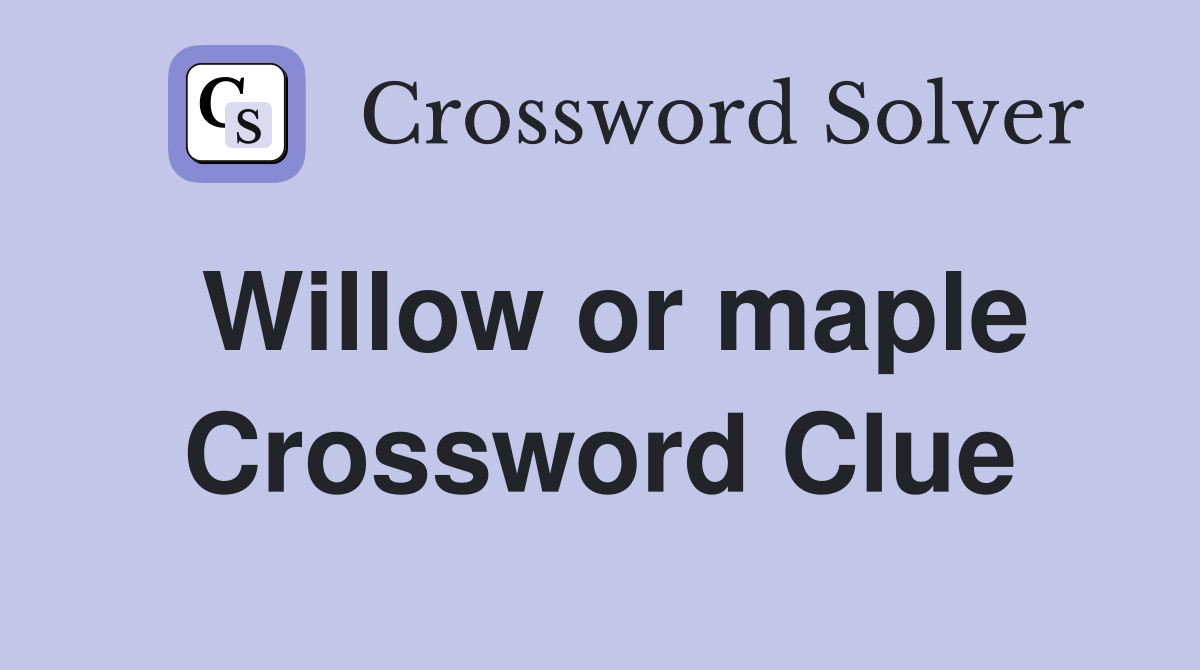 Willow or maple Crossword Clue