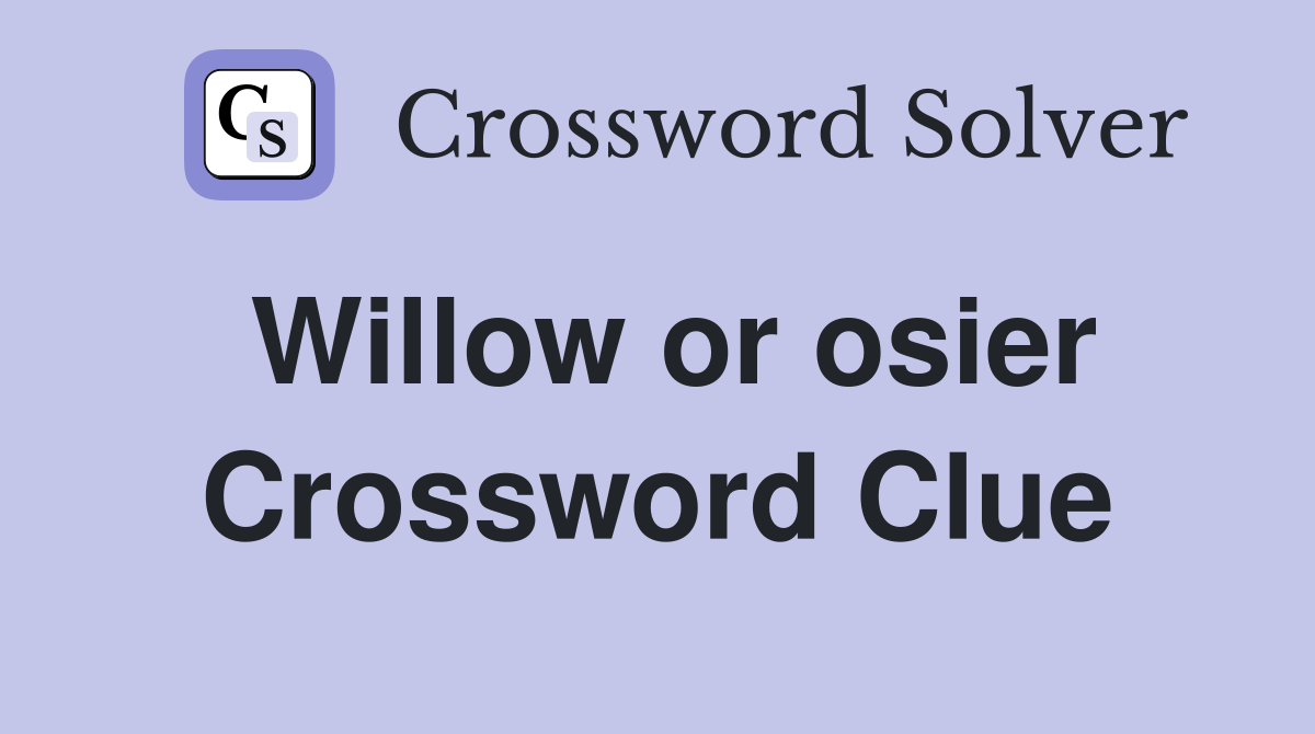 Willow or osier Crossword Clue