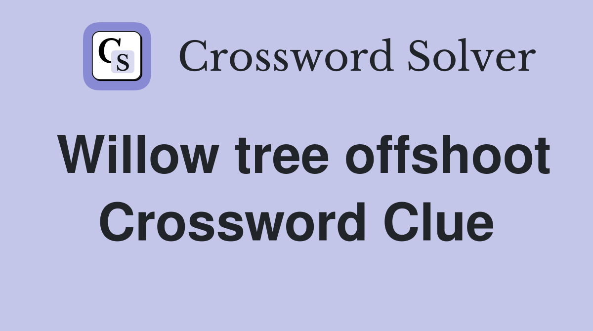 Willow tree offshoot Crossword Clue