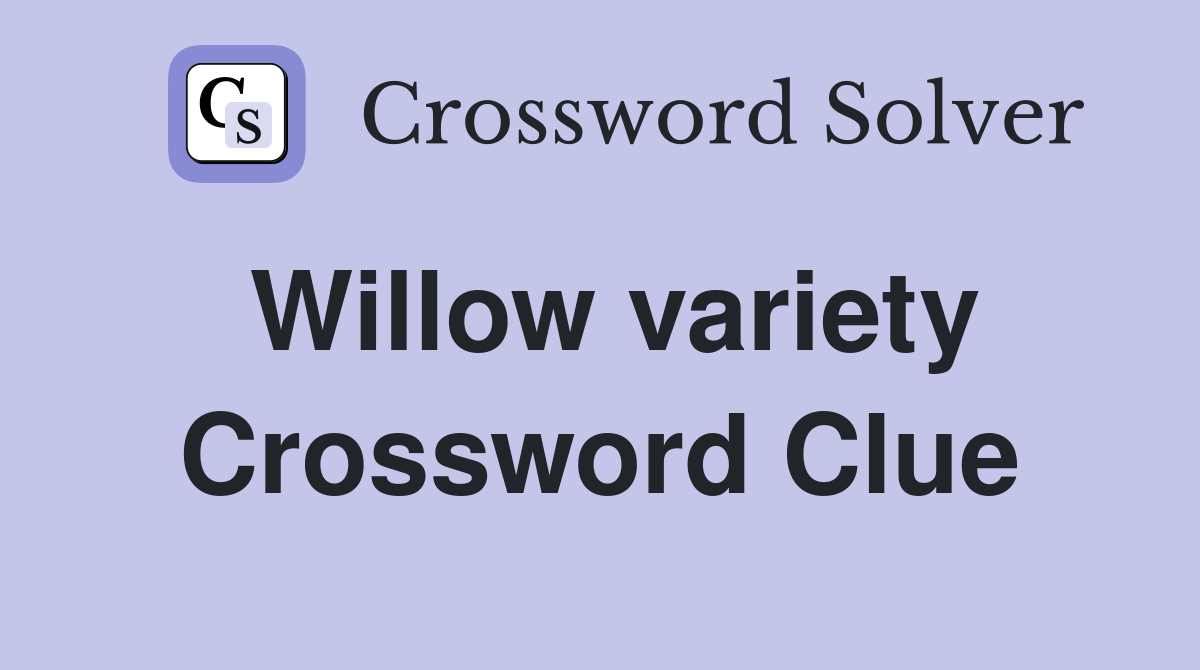Willow variety Crossword Clue