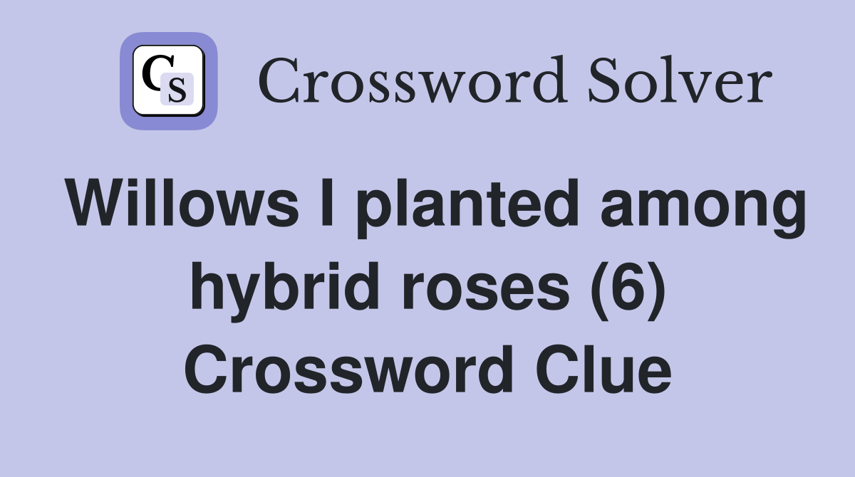 Willows I planted among hybrid roses (6) Crossword Clue