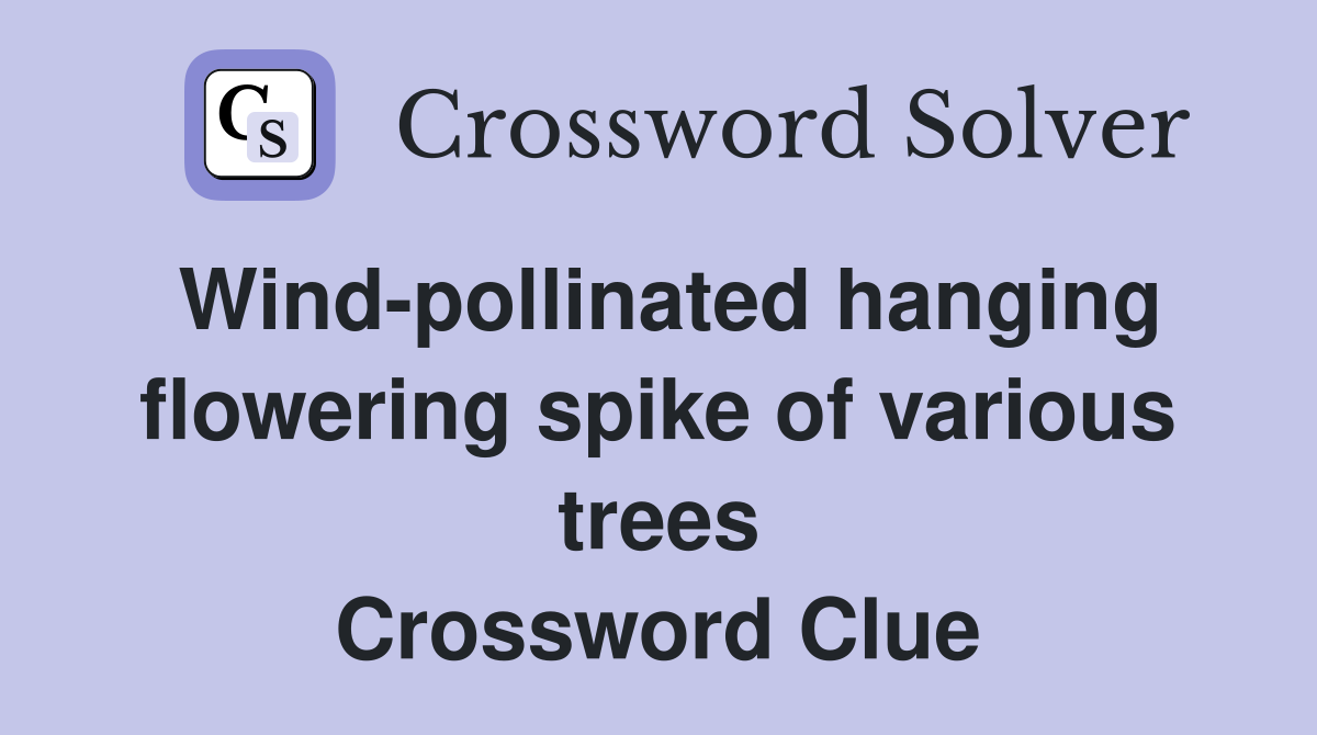 Wind-pollinated hanging flowering spike of various trees Crossword Clue