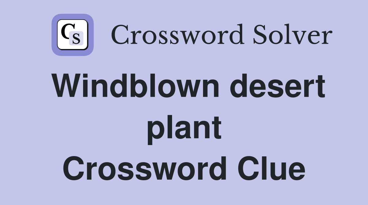 Windblown desert plant Crossword Clue