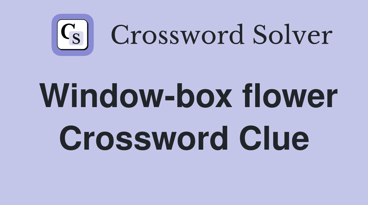 Window-box flower Crossword Clue