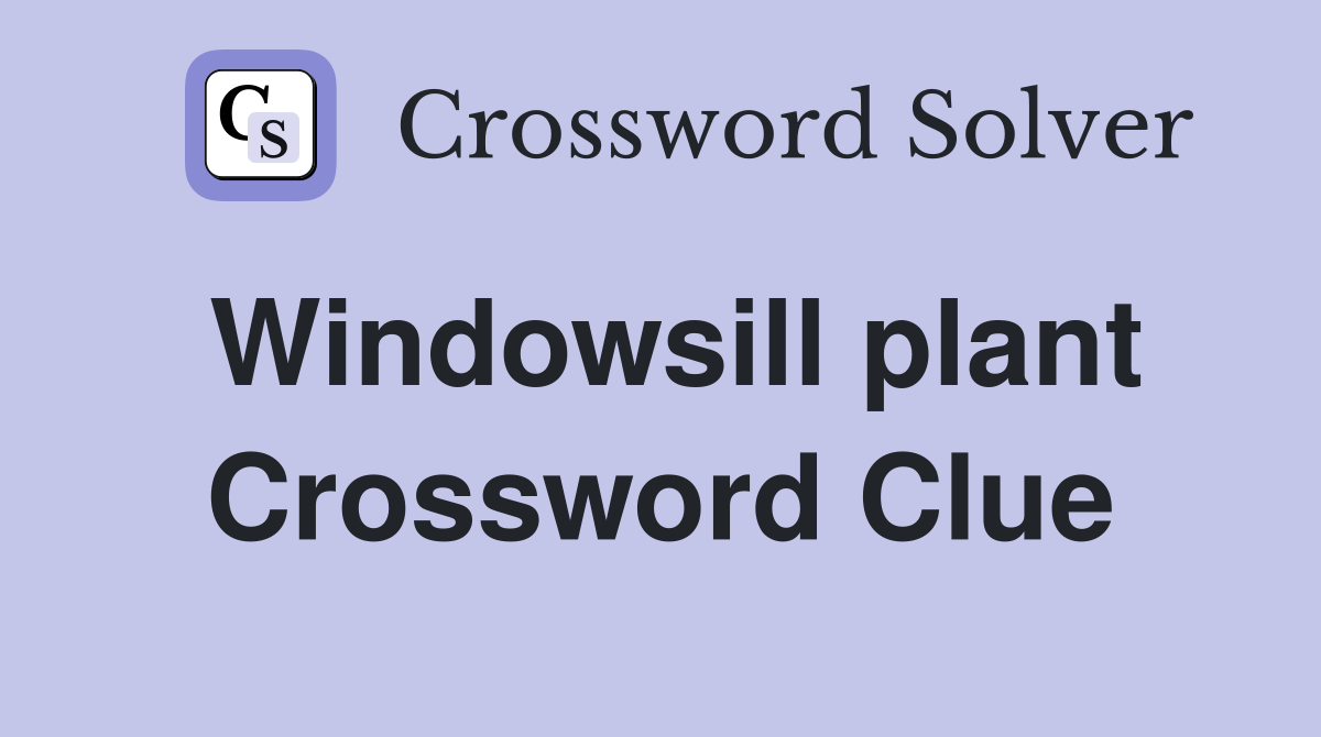 Windowsill plant Crossword Clue