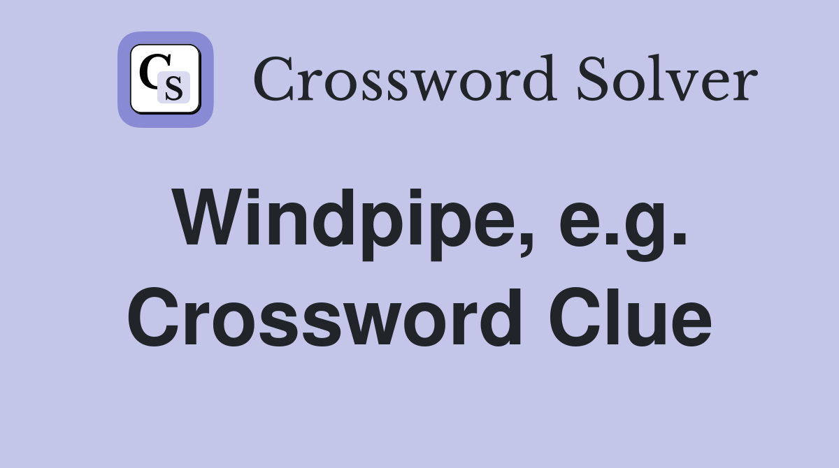Windpipe, e.g. Crossword Clue