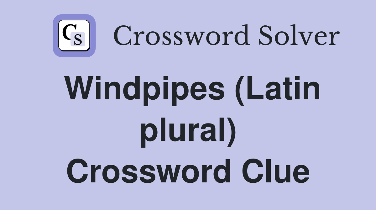 Windpipes (Latin plural) Crossword Clue