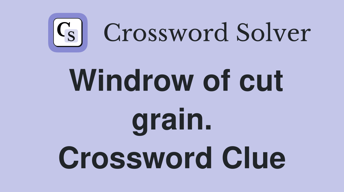Windrow of cut grain. Crossword Clue