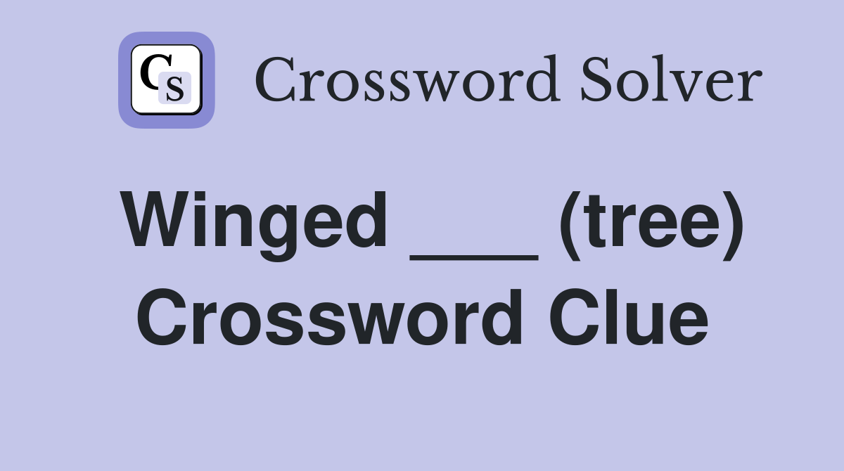 Winged ___ (tree) Crossword Clue